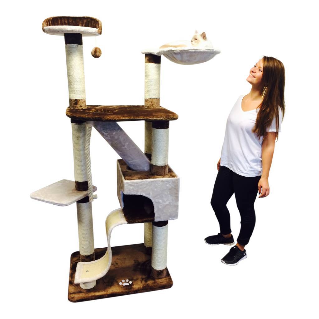 arbre a chat robuste